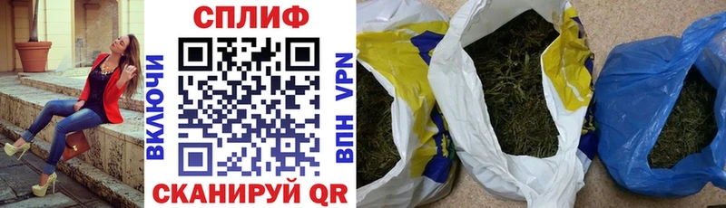 МЕФ Камешково