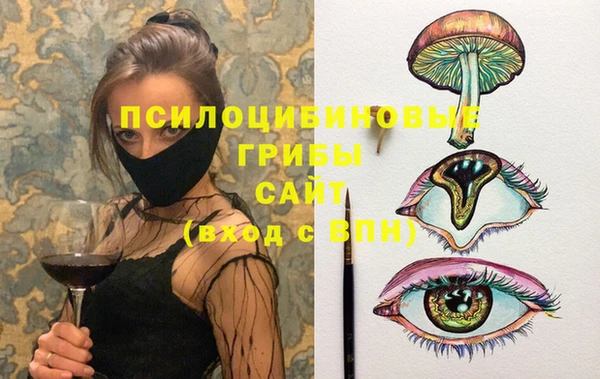 бошки Надым