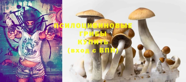 бошки Надым