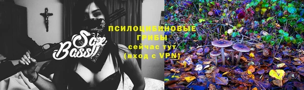 дурь Нея